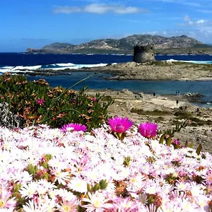  Affittacamere Velalatina Italia
